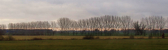 Norddeutsche Marschlandschaft